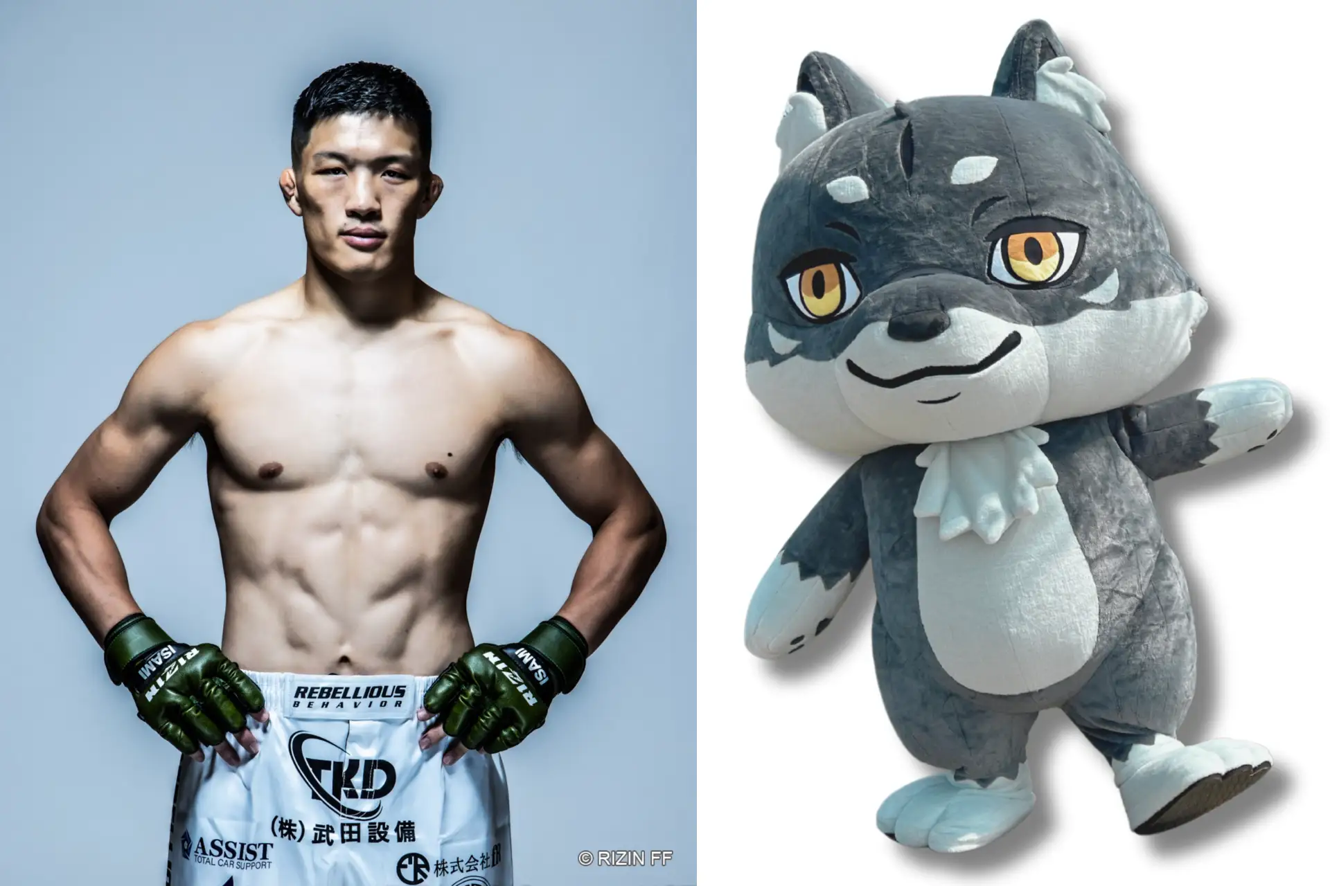 CNP「マカミ」の公式アンバサダーに就任 | 野村駿太後援会